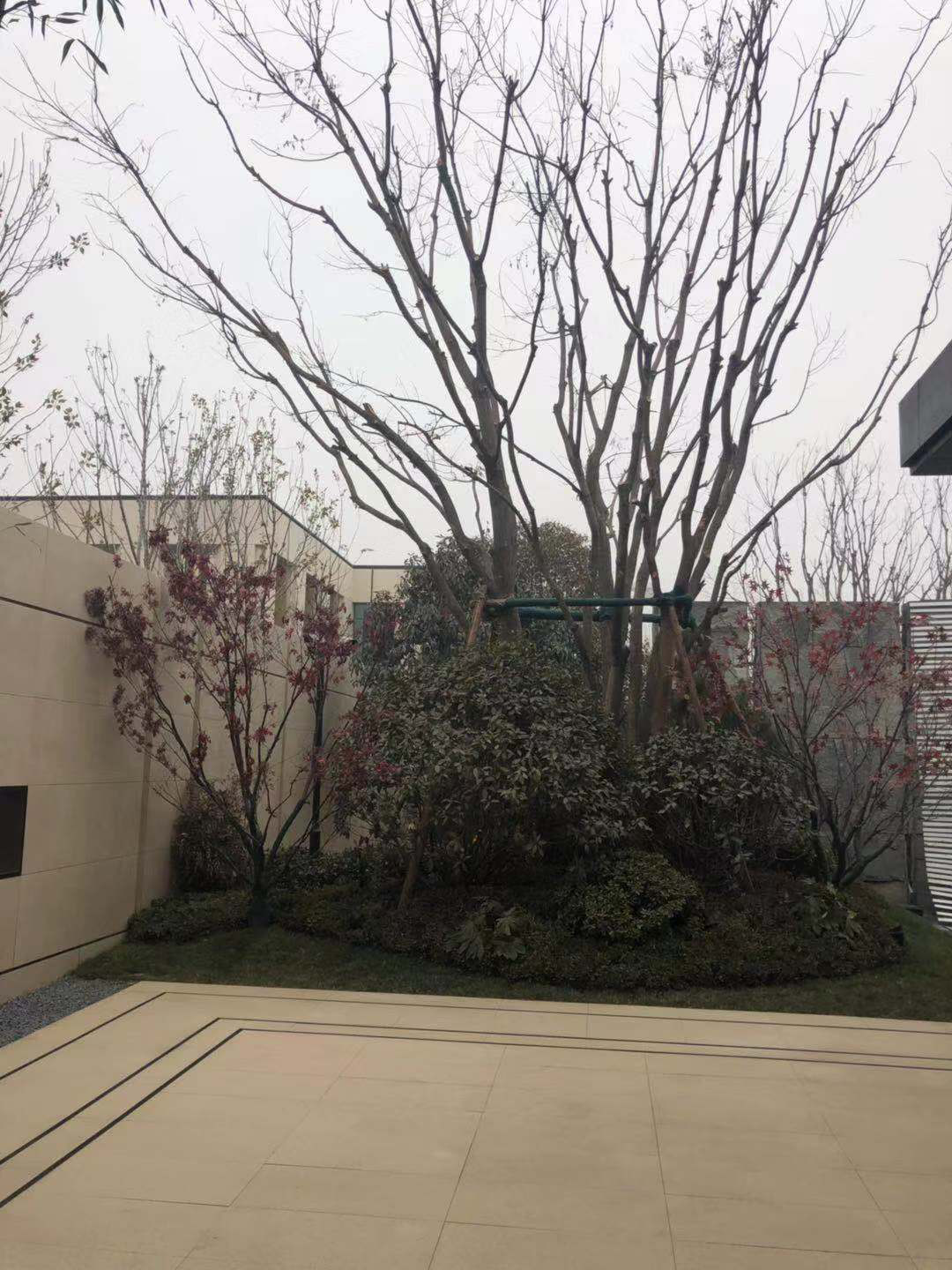 图片200.png 图片200.png