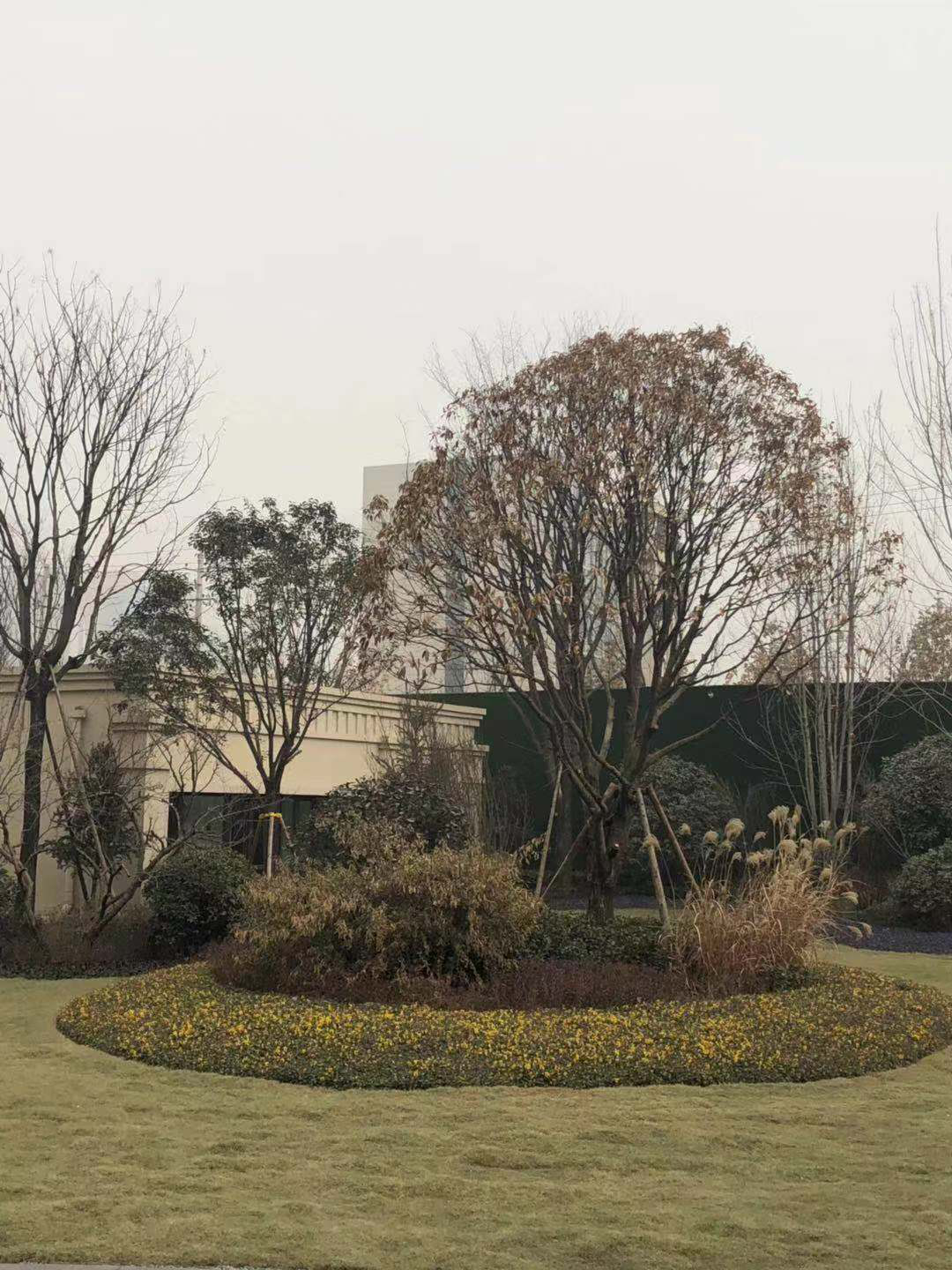 图片203.png 图片203.png